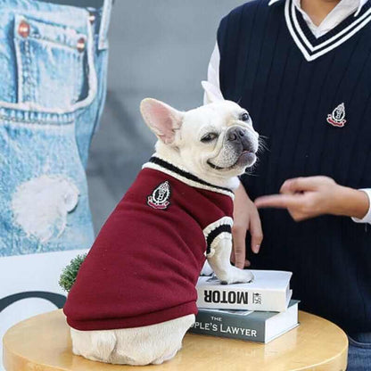 College V-neck Sweater for Dogs