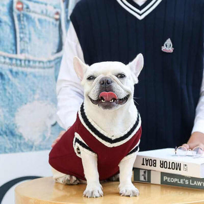College V-neck Sweater for Dogs