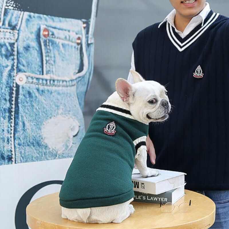 College V-neck Sweater for Dogs