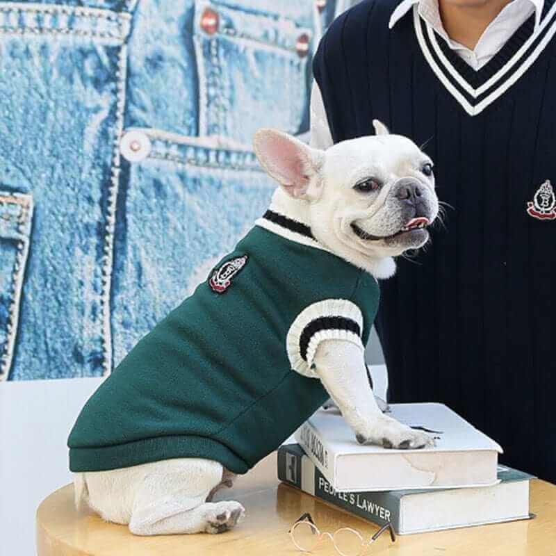 College V-neck Sweater for Dogs