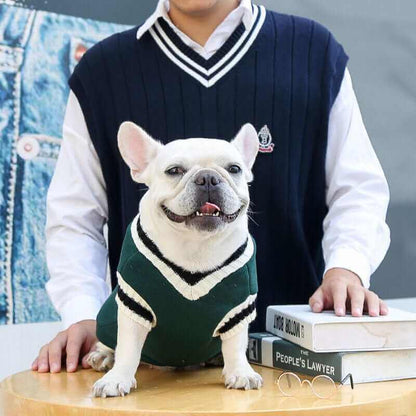 College V-neck Sweater for Dogs