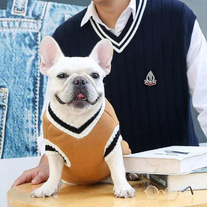 College V-neck Sweater for Dogs