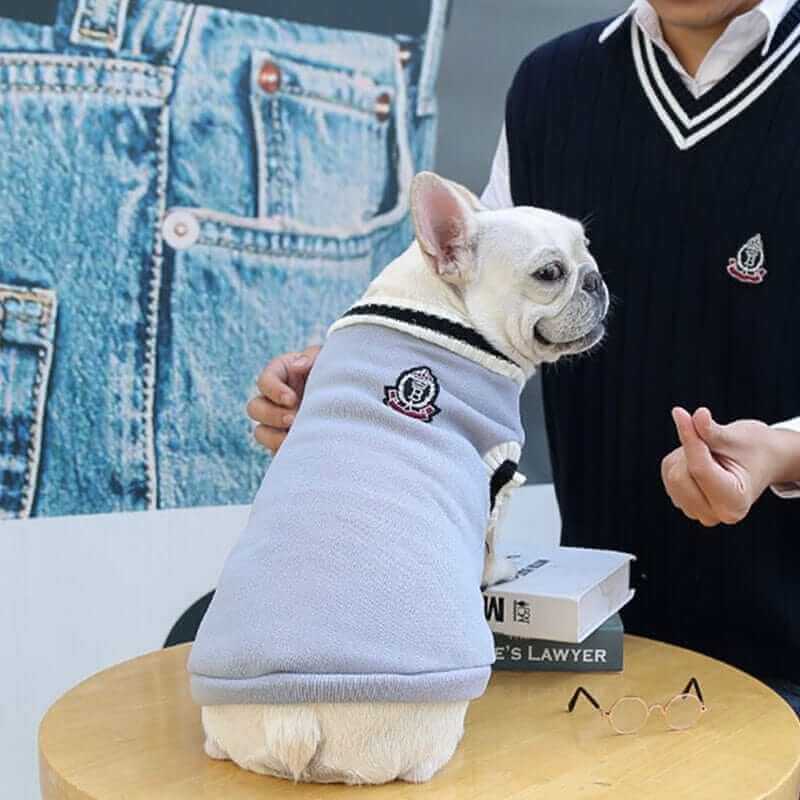 College V-neck Sweater for Dogs