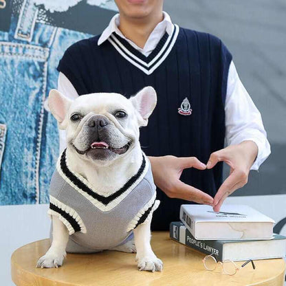 College V-neck Sweater for Dogs