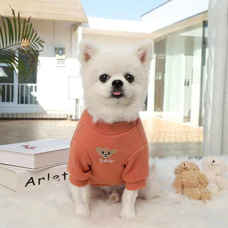 Cute Hoodie