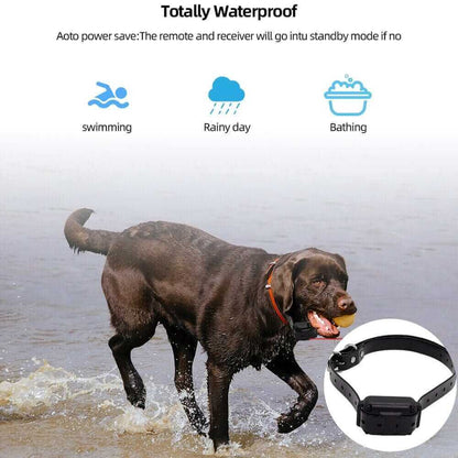 Digital Dog Training Collar