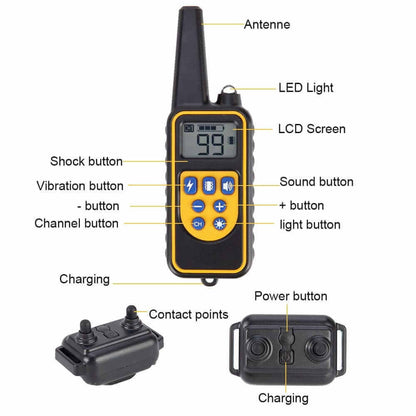 Digital Dog Training Collar