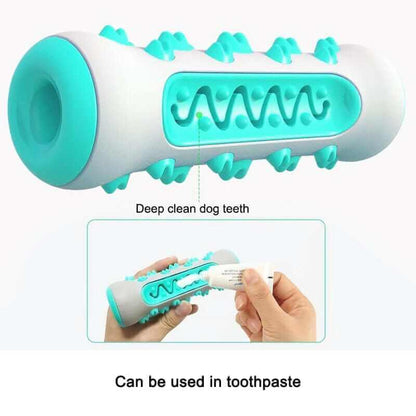 Dog Chew Toothbrush Toy