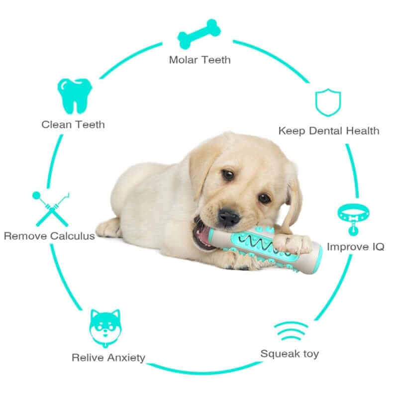 Dog Chew Toothbrush Toy