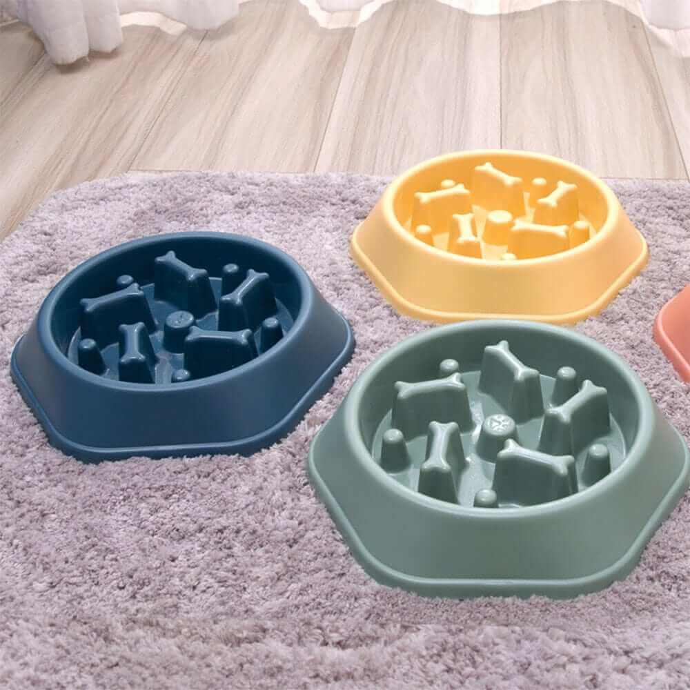 Slow Feeder Bowl