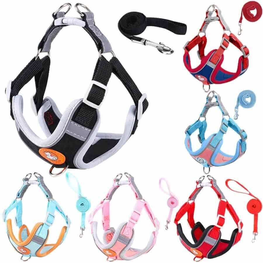 Dog Harness and Leash
