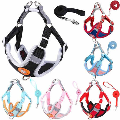 Dog Harness and Leash