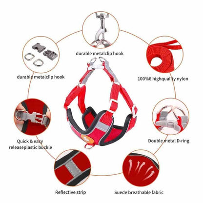 Dog Harness and Leash