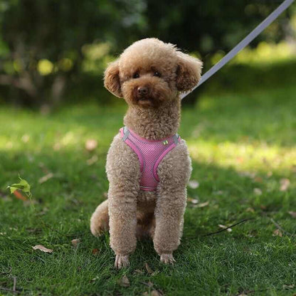 Dog Harness Vest and Leash