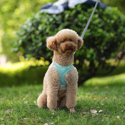 Dog Harness Vest and Leash