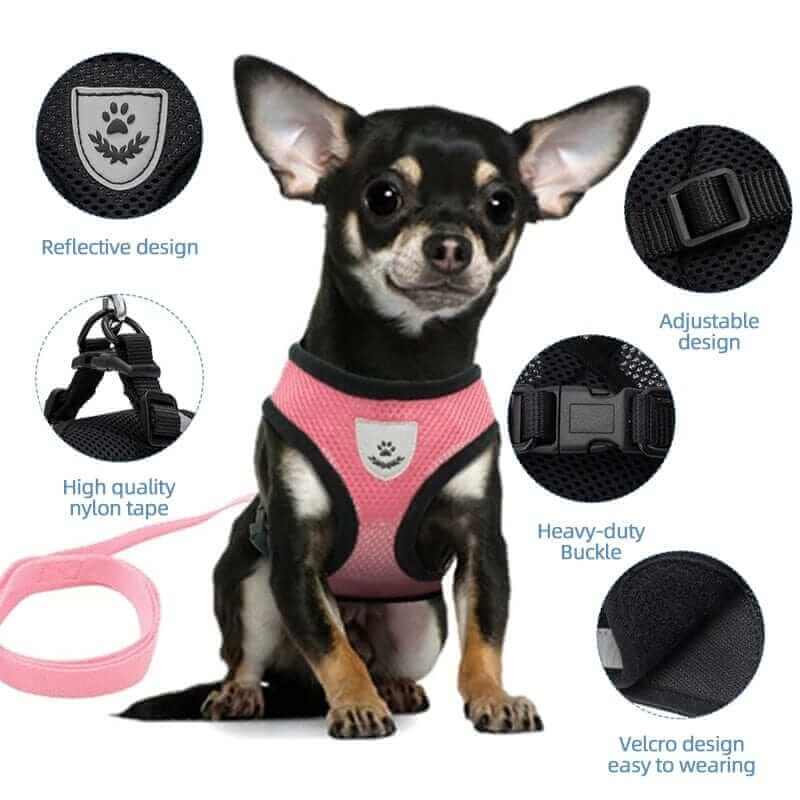 Dog Harness with Leash
