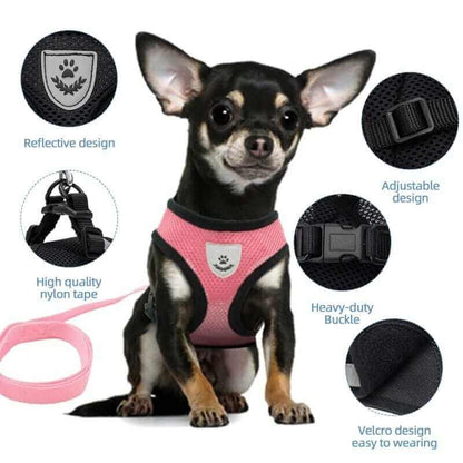 Dog Harness with Leash
