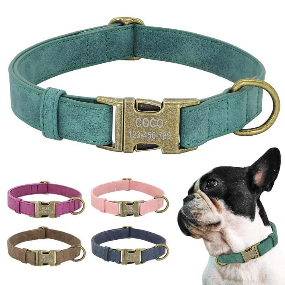 Leader Dog ID Collar