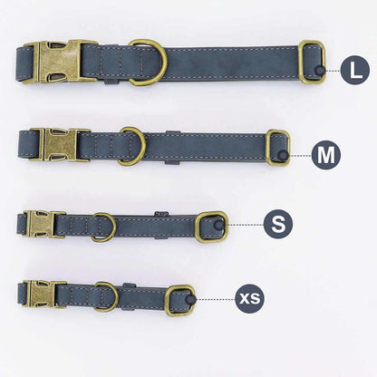 Leader Dog ID Collar