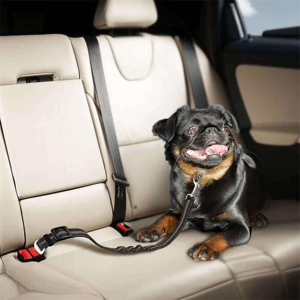 Dog Seat Belt Car Harness