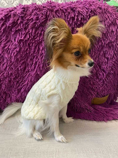 Sweater for Small Dogs