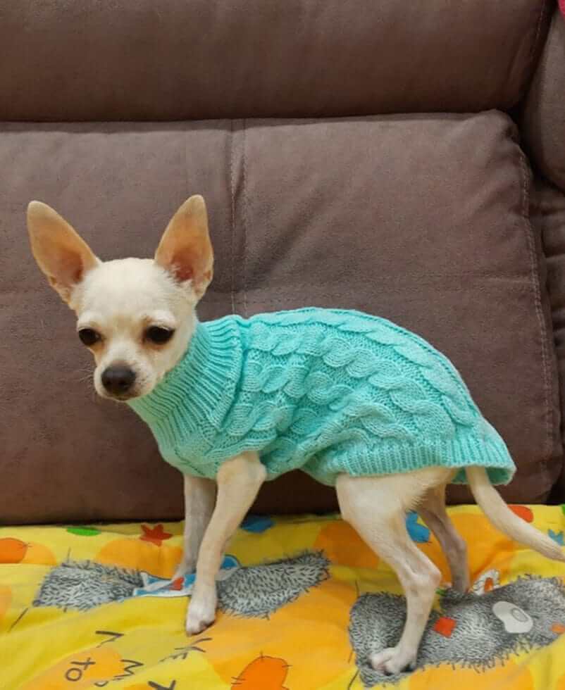 Sweater for Small Dogs