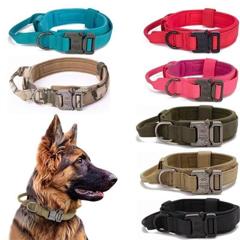 Tactical Dog Collar & Leash