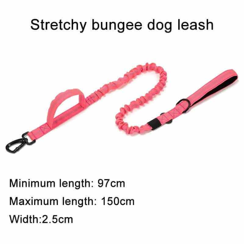 Tactical Dog Collar & Leash