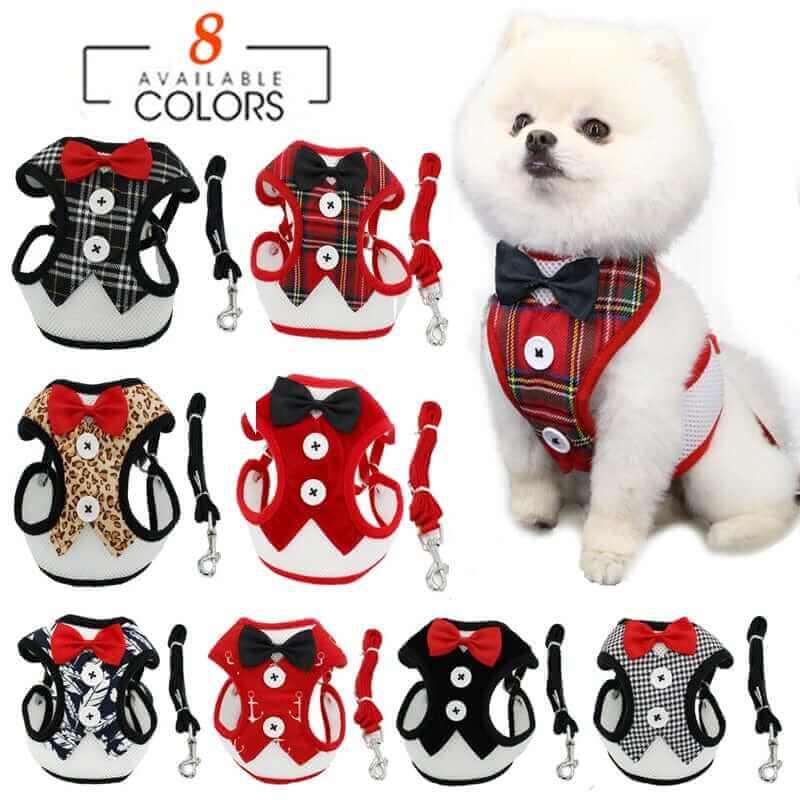 Elegant Dog Harness