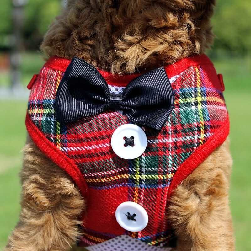 Elegant Dog Harness