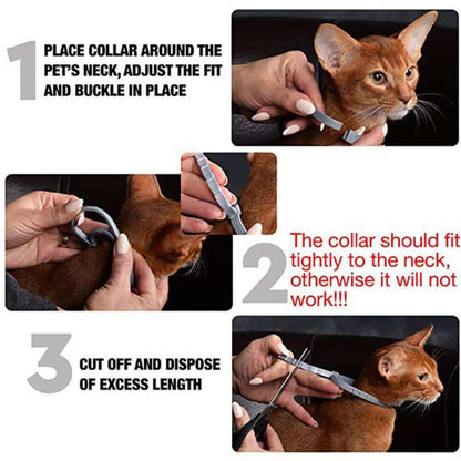 Flea and Tick Collar for Dogs