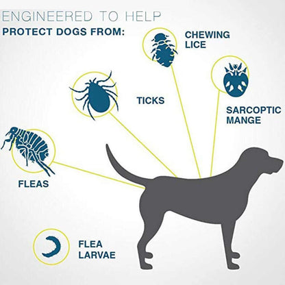 Flea and Tick Collar for Dogs