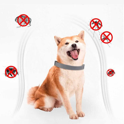 Flea and Tick Collar for Dogs