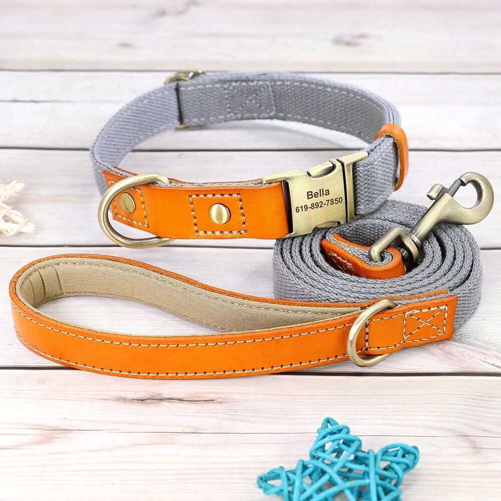 Nylon ID Dog Collar with Leash