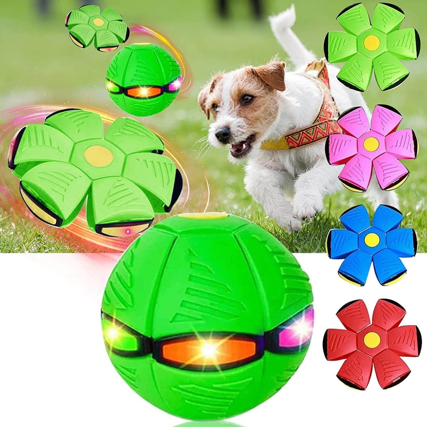 Magic Flying Ball for Dogs