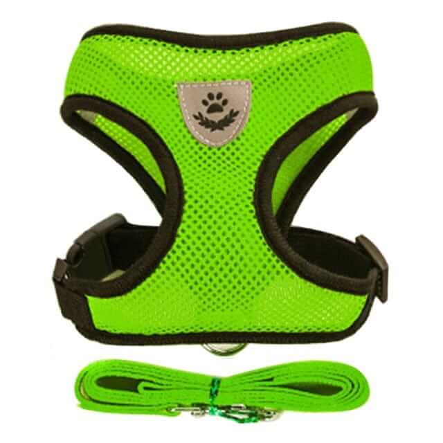 Dog Harness with Leash