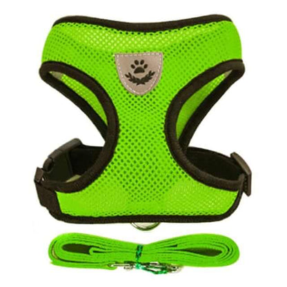 Dog Harness with Leash