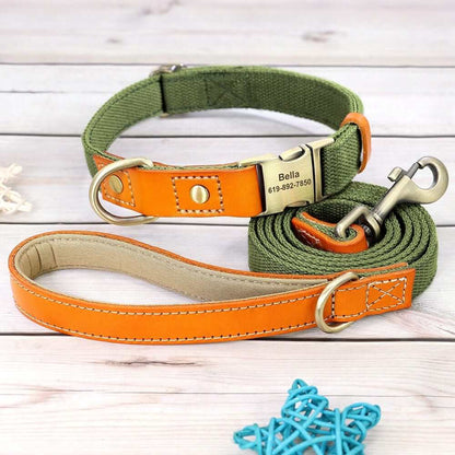 Nylon ID Dog Collar with Leash