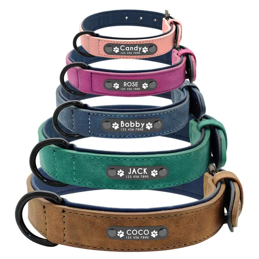 Dog ID Collar