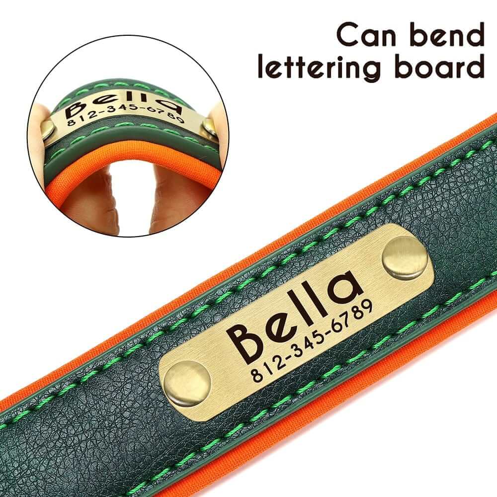 Leather ID Dog Collar
