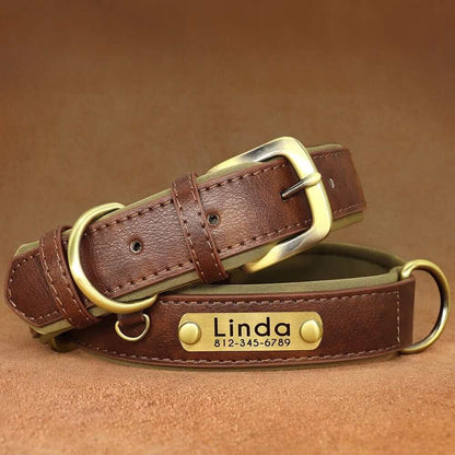 Leather ID Dog Collar