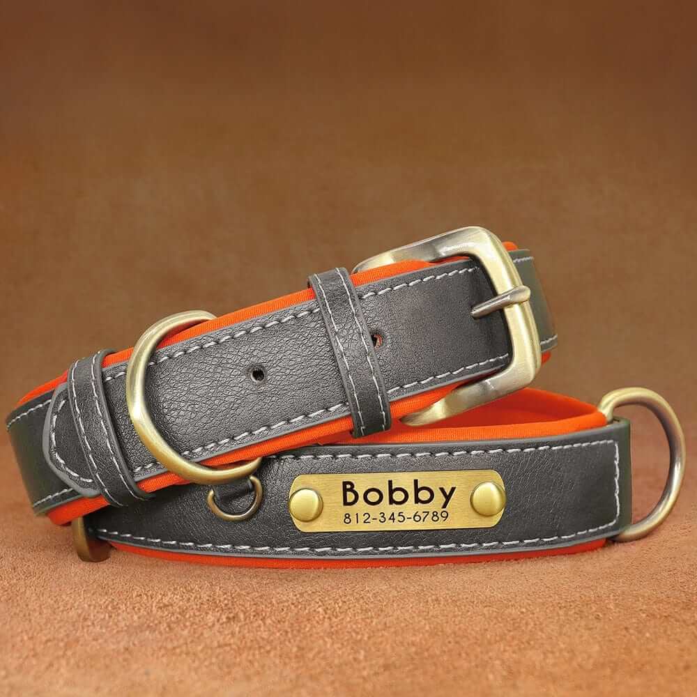 Leather ID Dog Collar