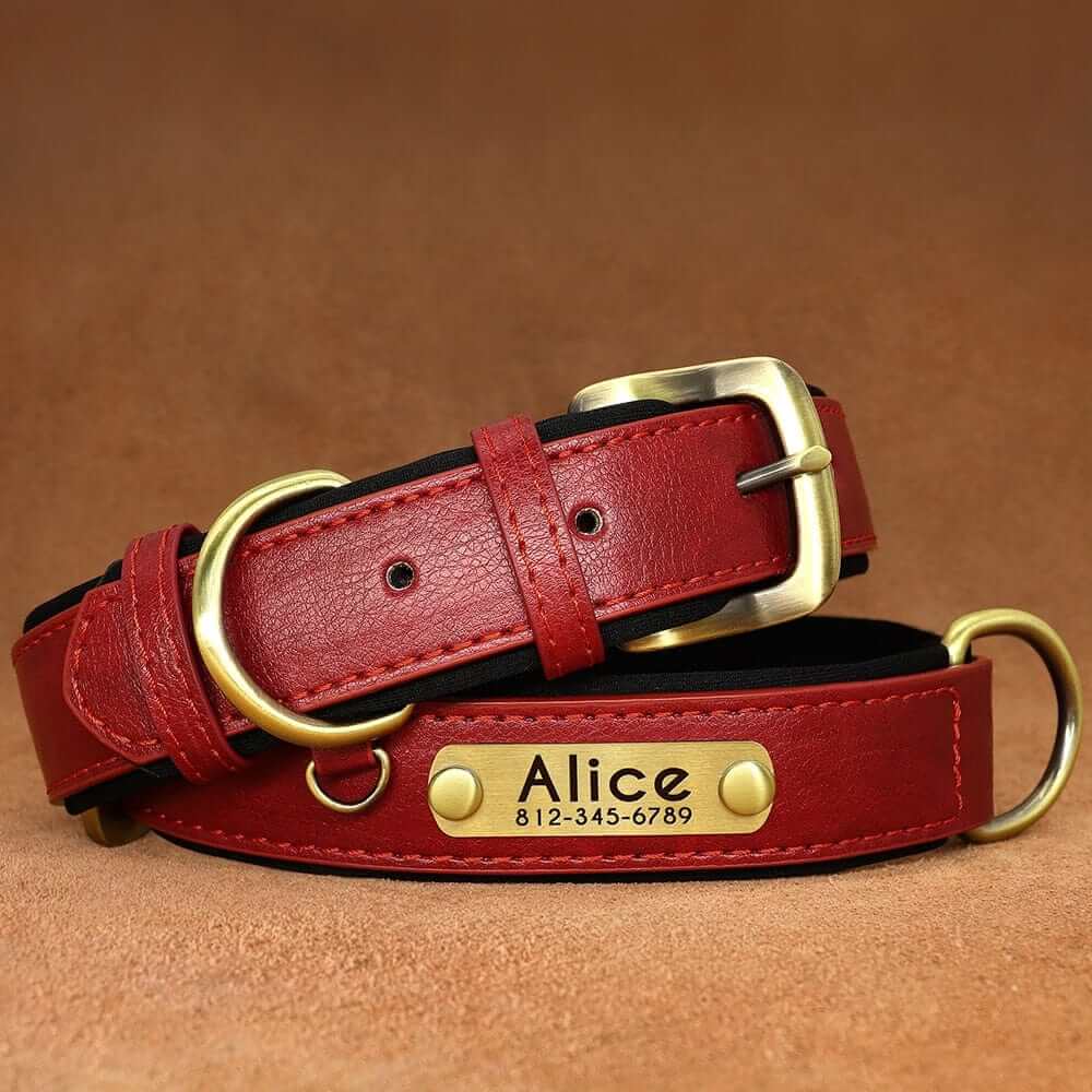 Leather ID Dog Collar