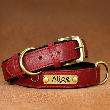 Leather ID Dog Collar