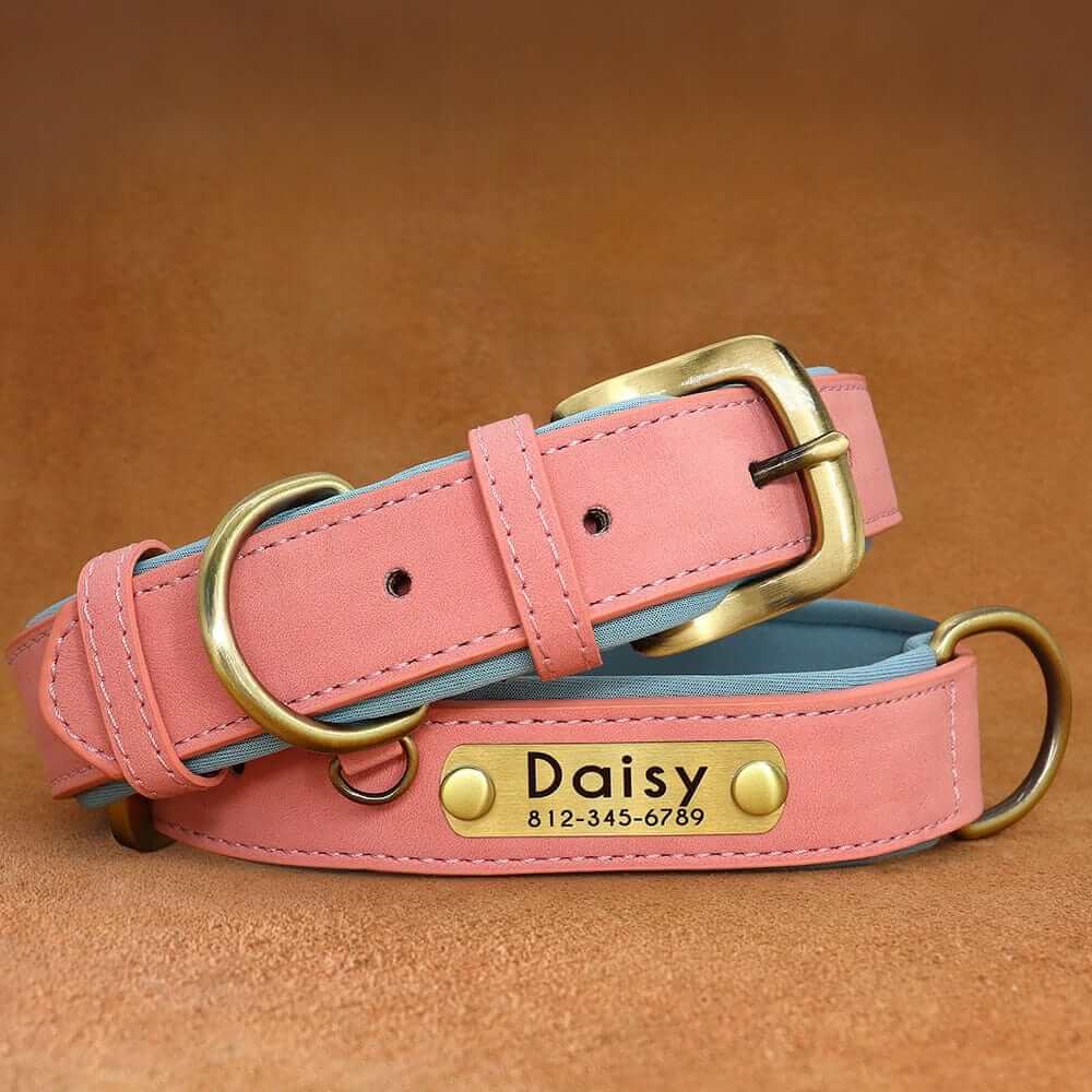 Leather ID Dog Collar