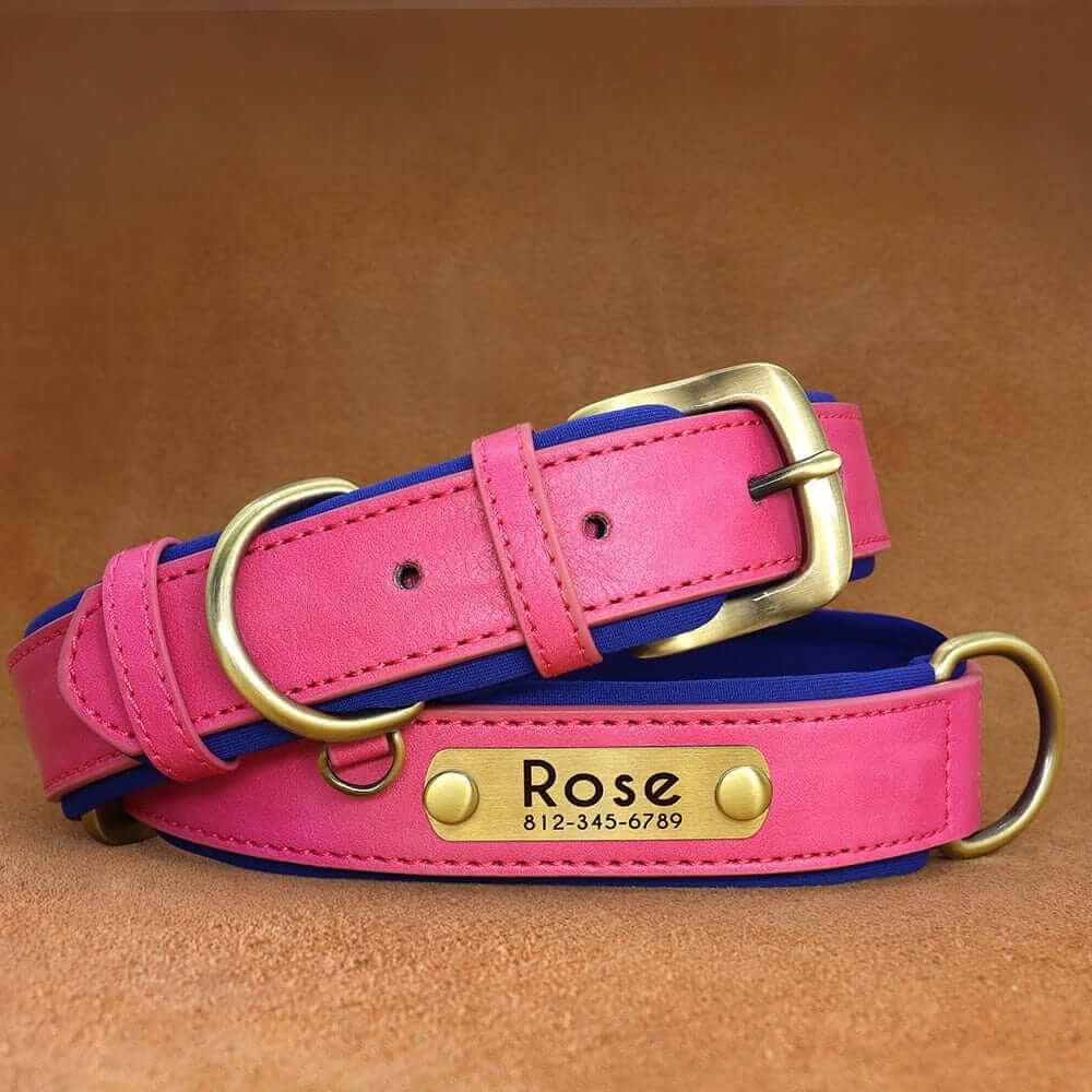 Leather ID Dog Collar
