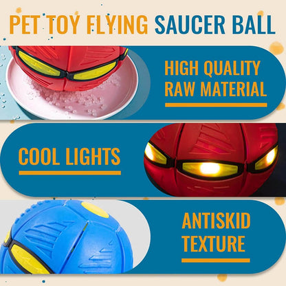 Magic Flying Ball for Dogs
