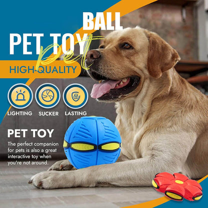 Magic Flying Ball for Dogs