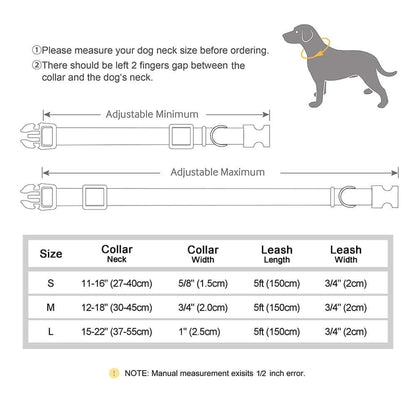 Nylon ID Dog Collar with Leash