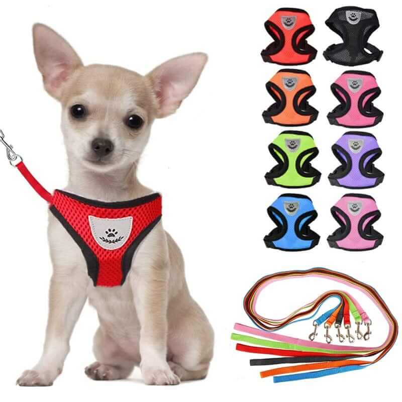 Nylon Mesh Dog Harness And Leash